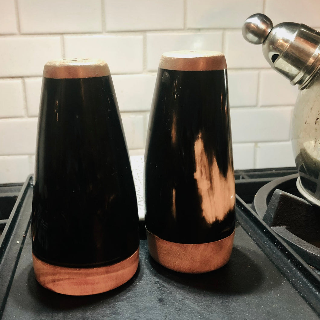 Horn + Wood Salt and Pepper Shaker Set